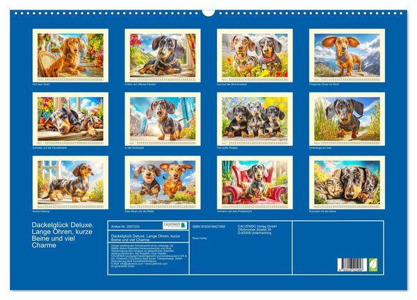 Produktbild: Dackelgl&uuml;ck Deluxe. Lange Ohren, kurze Beine und viel Charme (Wandkalender 2026 DIN A2 quer), CALVENDO Monatskalender