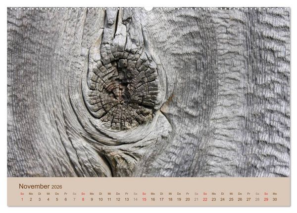 Produktbild: Farben des Holzes (hochwertiger Premium Wandkalender 2026 DIN A2 quer), Kunstdruck in Hochglanz