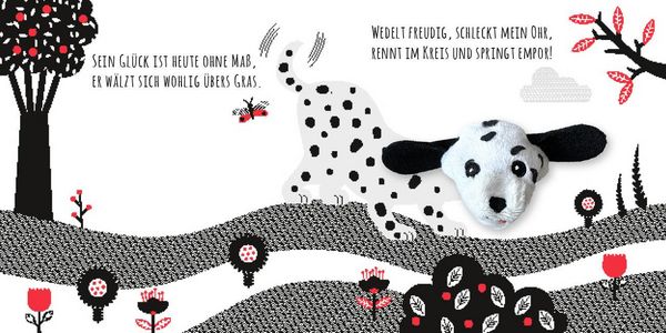 Produktbild: Kontrastbuch f&uuml;r Babys mit Fingerpuppe: Guck mal, kleiner Hund