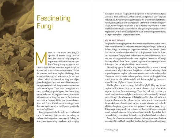Produktbild: Teaming with Fungi
