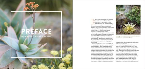 Produktbild: The Bold Dry Garden