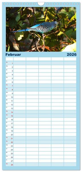Produktbild: Familienplaner 2026 - Wellensittichtr&auml;ume - Der neue Wellensittich-Naturkalender mit 5 Spalten (Wandkalender, 21 x 45 cm) CALVENDO