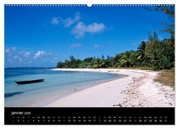Produktbild: Madagascar L'&icirc;le aux merveilles (Calendrier mural 2026 DIN A2 vertical) calendrier de bureau