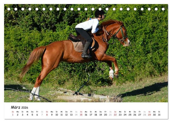 Produktbild: Pony Springreiten (Tischkalender 2026 DIN A5 quer), CALVENDO Monatskalender