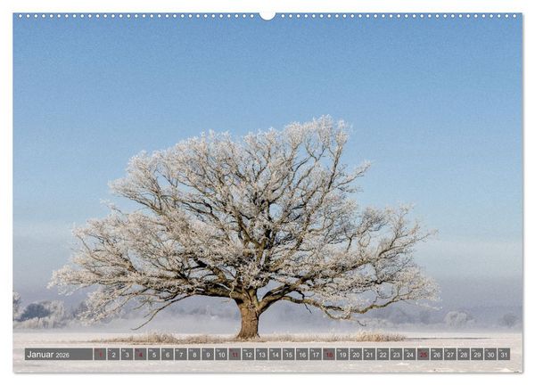 Produktbild: Naturlandschaft Elbe - Im Wechsel der Jahreszeiten (hochwertiger Premium Wandkalender 2026 DIN A2 quer), Kunstdruck in Hochglanz