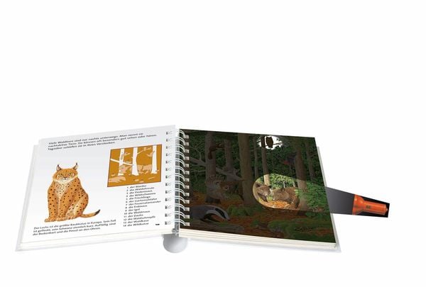 Produktbild: Tief im Wald