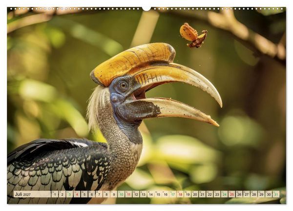 Produktbild: Nashornv&ouml;gel (hochwertiger Premium Wandkalender 2027 DIN A2 quer), Kunstdruck in Hochglanz