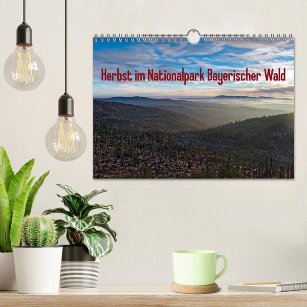 Produktbild: Herbst im Nationalpark Bayerischer Wald (Wandkalender 2026 DIN A4 quer), CALVENDO Monatskalender