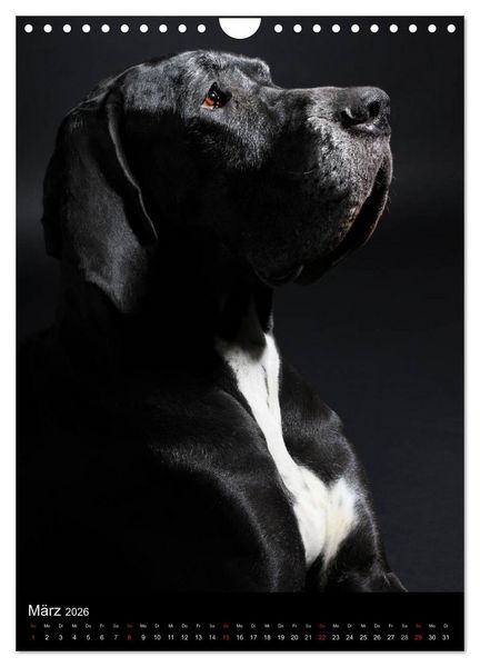 Produktbild: Faszination Deutsche Dogge (Wandkalender 2026 DIN A4 hoch), CALVENDO Monatskalender