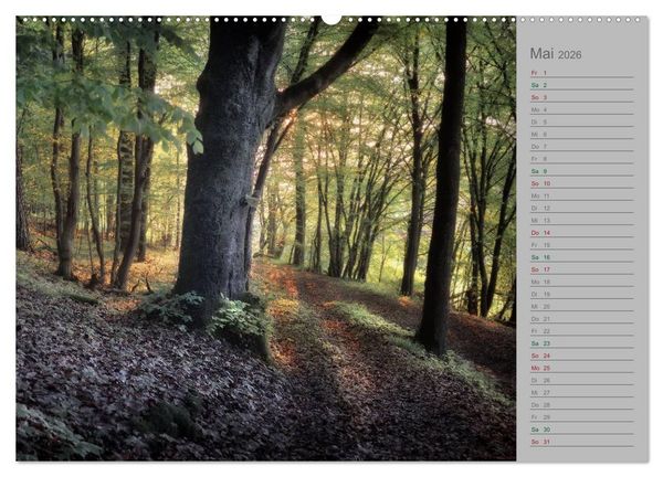 Produktbild: Planungskalender M&auml;rchenwald 2026 (hochwertiger Premium Wandkalender 2026 DIN A2 quer), Kunstdruck in Hochglanz