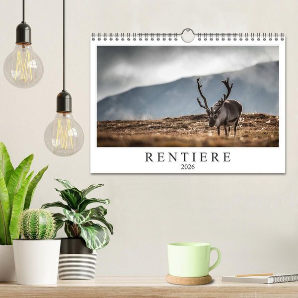 Produktbild: Rentiere (Wandkalender 2026 DIN A4 quer), CALVENDO Monatskalender