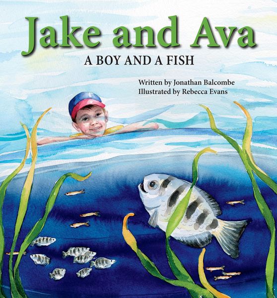Produktbild: Jake and Ava: A Boy and a Fish