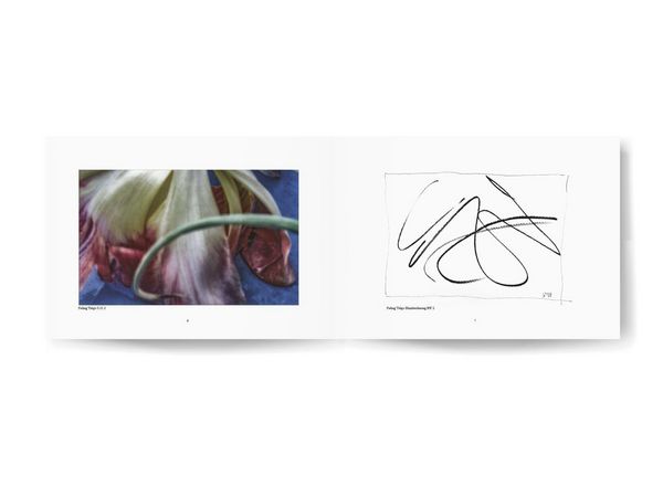 Produktbild: Fading Tulips