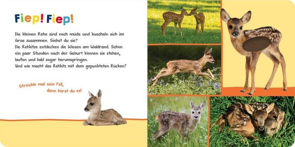 Produktbild: H&ouml;r mal rein, wer kann das sein? &ndash; Im Fr&uuml;hling