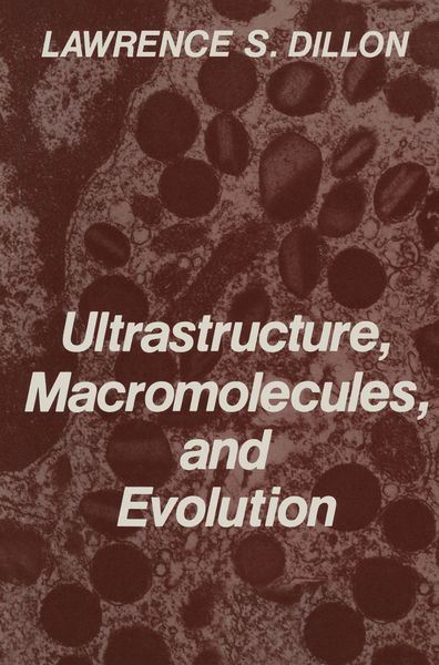 Produktbild: Ultrastructure, Macromolecules, and Evolution