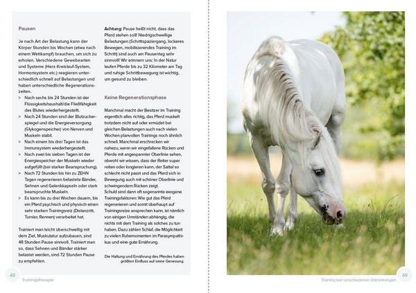 Produktbild: Trainingstherapie