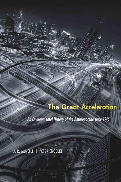 Produktbild: The Great Acceleration
