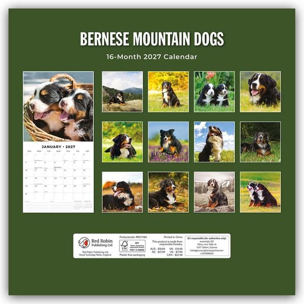 Produktbild: Bernese Mountain Dog &ndash; Berner Sennenhund 2027 &ndash; 16-Monatskalender