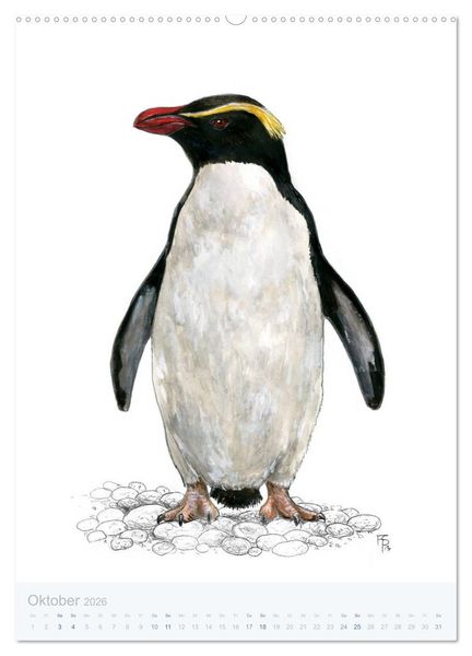 Produktbild: Pinguine - 13 Illustrationen (hochwertiger Premium Wandkalender 2026 DIN A2 hoch), Kunstdruck in Hochglanz