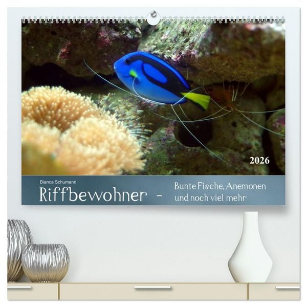 Produktbild: Riffbewohner - Bunte Fische, Anemonen und noch viel mehr (hochwertiger Premium Wandkalender 2026 DIN A2 quer), Kunstdruck in Hochglanz