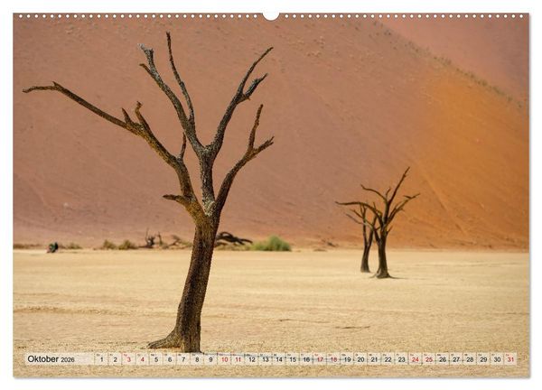 Produktbild: Namibia - Simbabwe - Botswana Leben zwischen W&uuml;ste und Wildnis (Wandkalender 2026 DIN A2 quer), CALVENDO Monatskalender