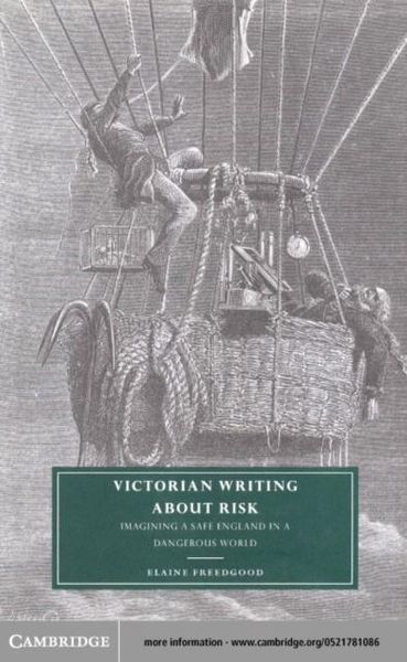 Produktbild: Victorian Writing about Risk