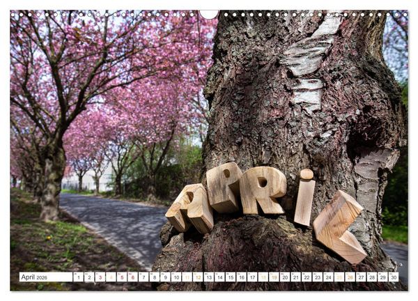 Produktbild: Holz, ein fantastischer Rohstoff. (Wandkalender 2026 DIN A3 quer), CALVENDO Monatskalender