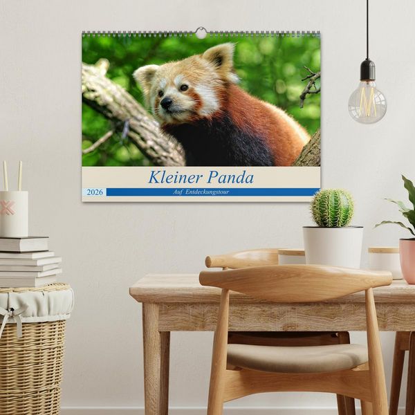 Produktbild: Kleiner Panda auf Entdeckungstour (Wandkalender 2026 DIN A3 quer), CALVENDO Monatskalender
