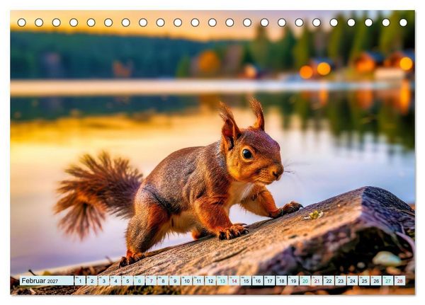 Produktbild: M&auml;rchenhafte Eichh&ouml;rnchen (Tischkalender 2027 DIN A5 quer), CALVENDO Monatskalender