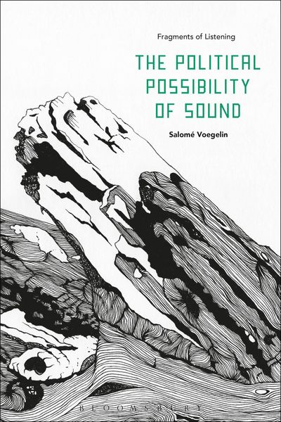 Produktbild: The Political Possibility of Sound