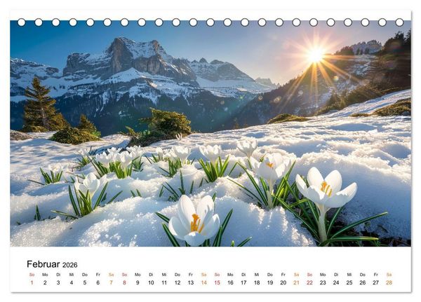 Produktbild: Natur im Jahr (Tischkalender 2026 DIN A5 quer), CALVENDO Monatskalender