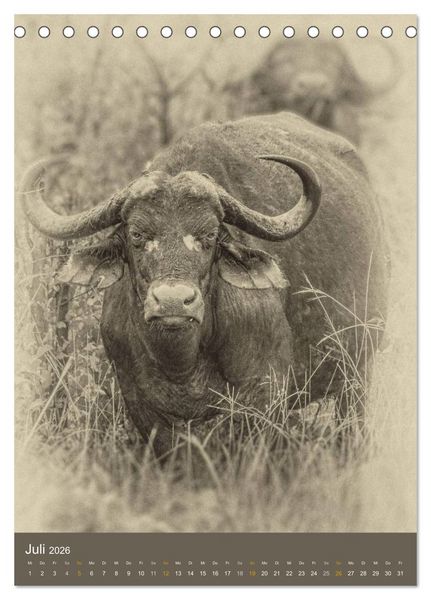 Produktbild: Afrikas Tierwelt - Sepia-Art (Tischkalender 2026 DIN A5 hoch), CALVENDO Monatskalender