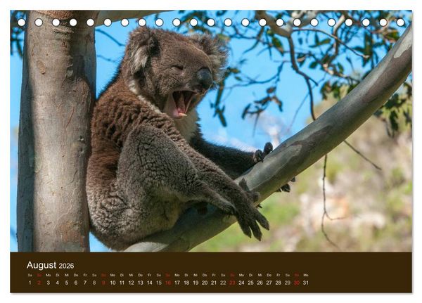 Produktbild: Beuteltiere Australiens (Tischkalender 2026 DIN A5 quer), CALVENDO Monatskalender