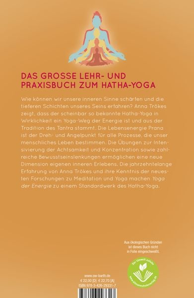 Produktbild: Yoga der Energie
