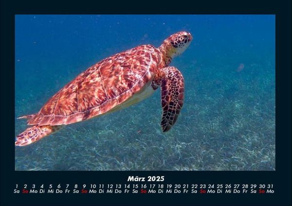 Produktbild: Karibik 2025 Fotokalender DIN A4