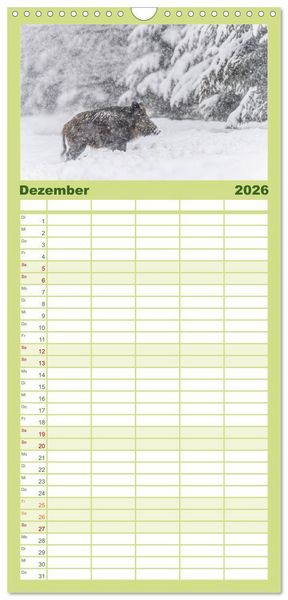 Produktbild: Familienplaner 2026 - Wildschweine &ndash; Wildlife Fotografien mit 5 Spalten (Wandkalender, 21 x 45 cm) CALVENDO