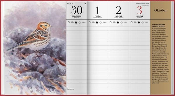 Produktbild: Der illustrierte Vogelkalender 2027