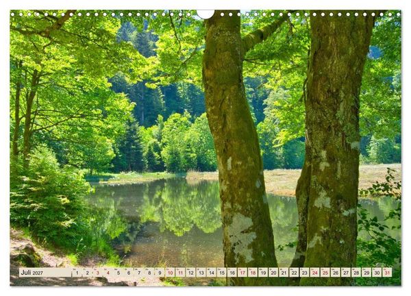 Produktbild: Freiburg Regio - Heimat in Bildern (Wandkalender 2027 DIN A3 quer), CALVENDO Monatskalender