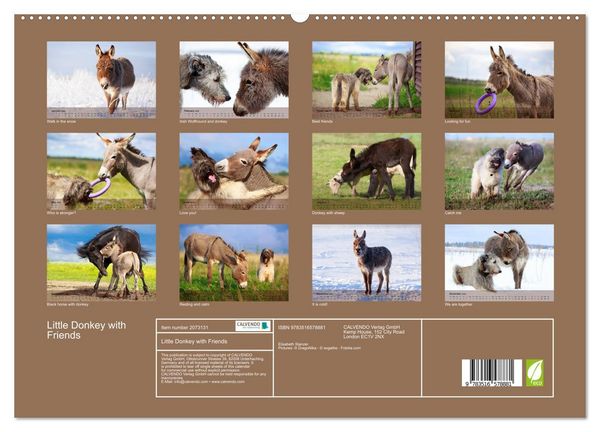 Produktbild: Little Donkey with Friends (High Quality Premium Wall Calendar 2026 DIN A2 landscape),CALVENDO 12 Month Wall Calendar