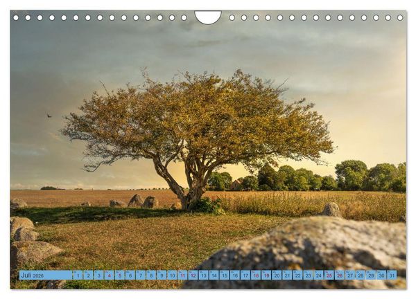 Produktbild: Sehnsucht R&uuml;gen (Wandkalender 2026 DIN A4 quer), CALVENDO Monatskalender
