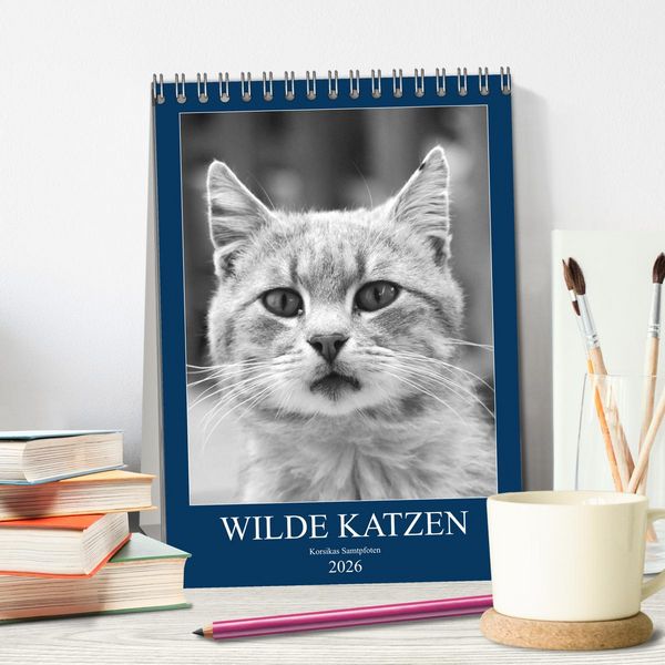 Produktbild: Wilde Katzen - Korsikas Samtpfoten (Tischkalender 2026 DIN A5 hoch), CALVENDO Monatskalender