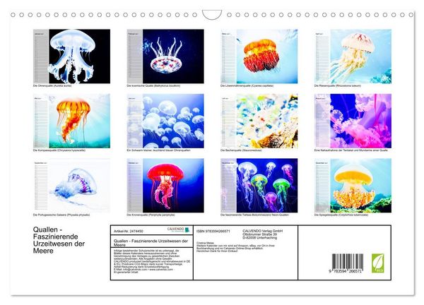 Produktbild: Quallen - Faszinierende Urzeitwesen der Meere (Wandkalender 2027 DIN A3 quer), CALVENDO Monatskalender