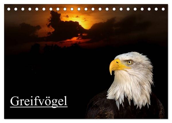Produktbild: Greifv&ouml;gel (Tischkalender 2026 DIN A5 quer), CALVENDO Monatskalender