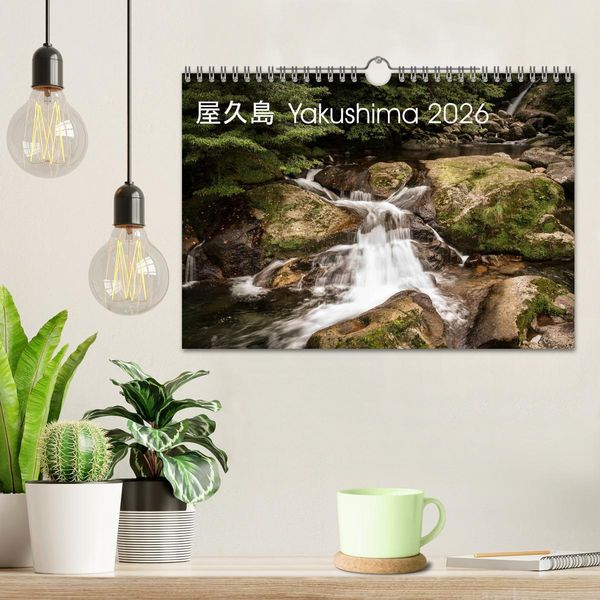 Produktbild: Yakushima - Japans Weltnaturerbe (Wandkalender 2026 DIN A4 quer), CALVENDO Monatskalender