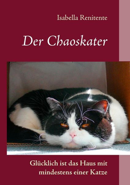 Produktbild: Der Chaoskater - Gl&uuml;cklich ist das Haus mit mindestens einer Katze