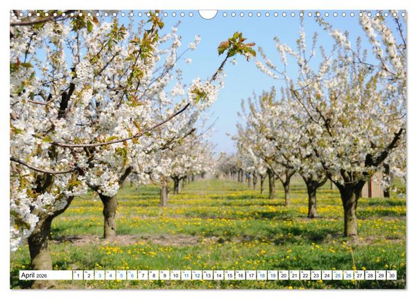 Produktbild: Land Brandenburg - Natur und Erholung im m&auml;rkischen Land (Wandkalender 2026 DIN A3 quer), CALVENDO Monatskalender
