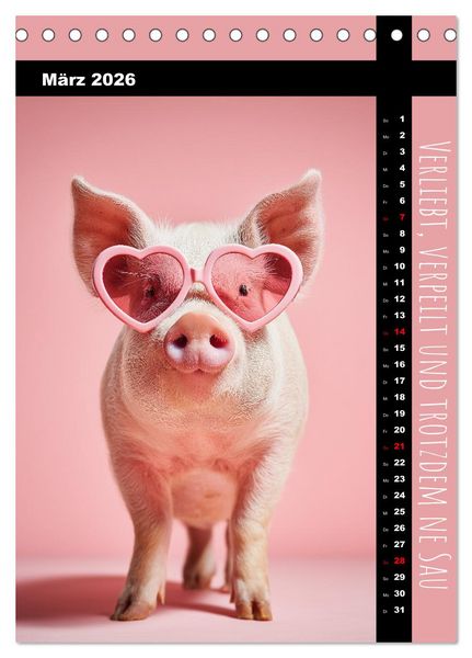Produktbild: Coole Sau - Lustiger Spr&uuml;che Kalender mit witzigen Schweinchen (Tischkalender 2026 DIN A5 hoch), CALVENDO Monatskalender