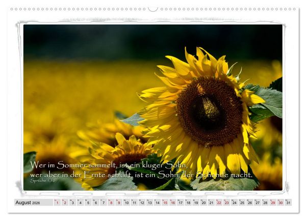 Produktbild: Biblische Spr&uuml;che und Verse (hochwertiger Premium Wandkalender 2026 DIN A2 quer), Kunstdruck in Hochglanz