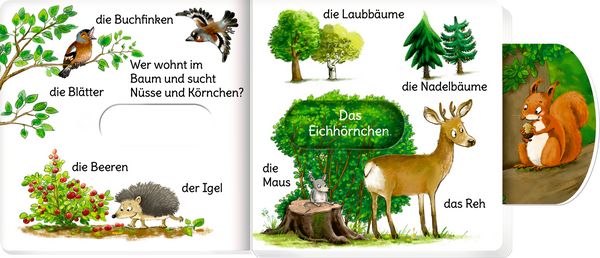 Produktbild: Minifanten 48: Schieb mal, sag mal! Wer lebt im Wald?