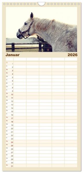 Produktbild: Familienplaner 2026 - Pferde - kraftvolle Eleganz mit 5 Spalten (Wandkalender, 21 x 45 cm) CALVENDO